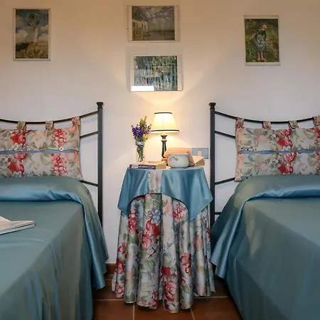 Il Pino Di Spazzavento Cetona