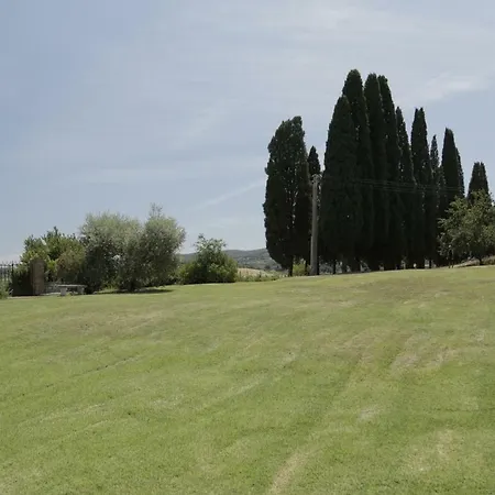 Il Pino Di Spazzavento *