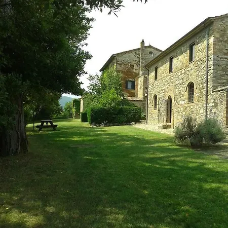 Il Pino Di Spazzavento *