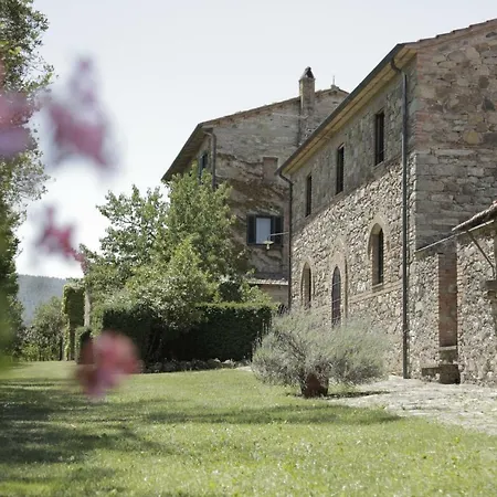 Il Pino Di Spazzavento *