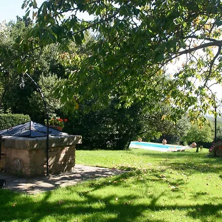 Il Pino Di Spazzavento