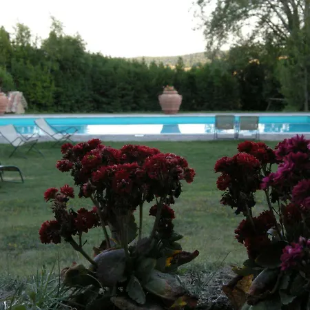 Il Pino Di Spazzavento