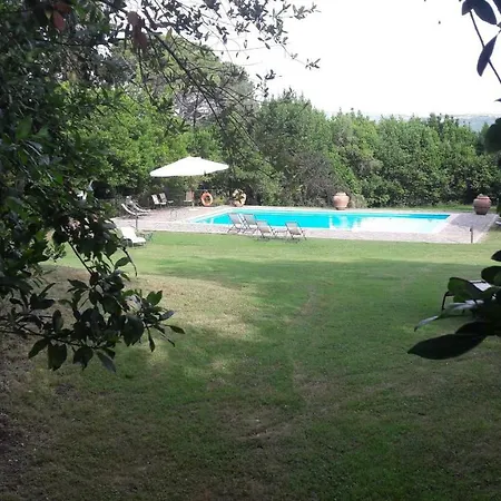 Il Pino Di Spazzavento