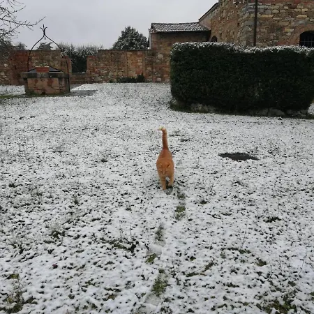 Country house Il Pino Di Spazzavento