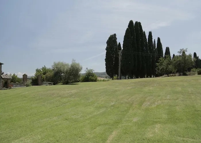 Il Pino Di Spazzavento *