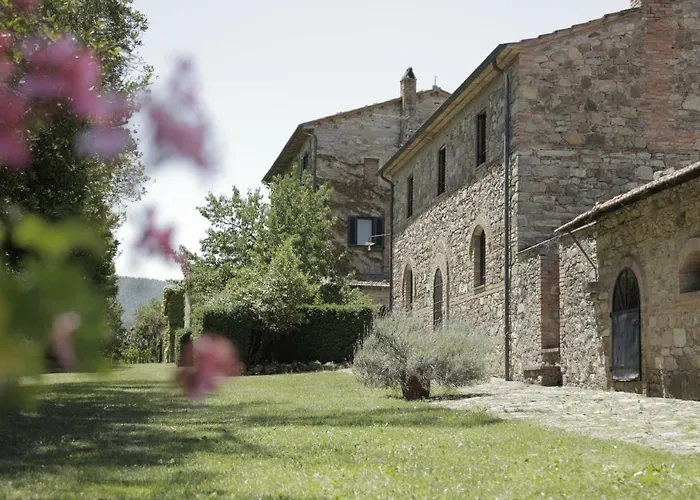Il Pino Di Spazzavento *
