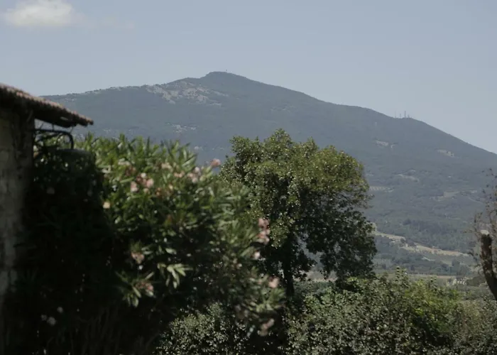 Il Pino Di Spazzavento Casa di campagna