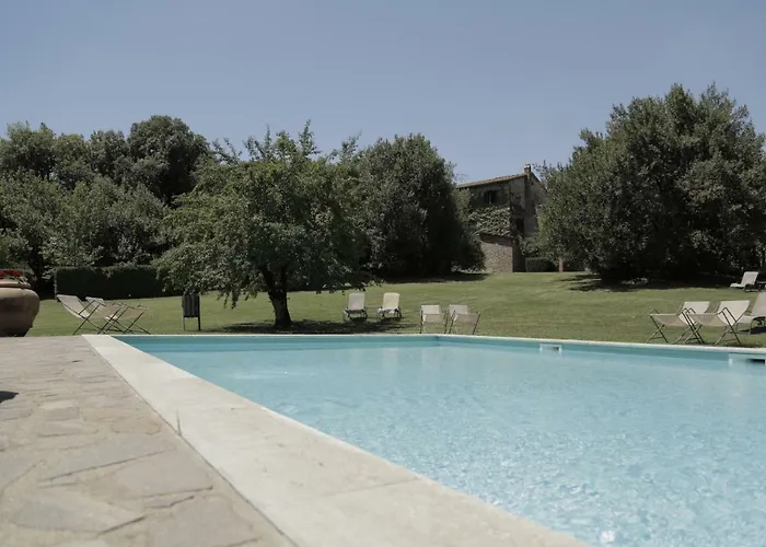 Il Pino Di Spazzavento
