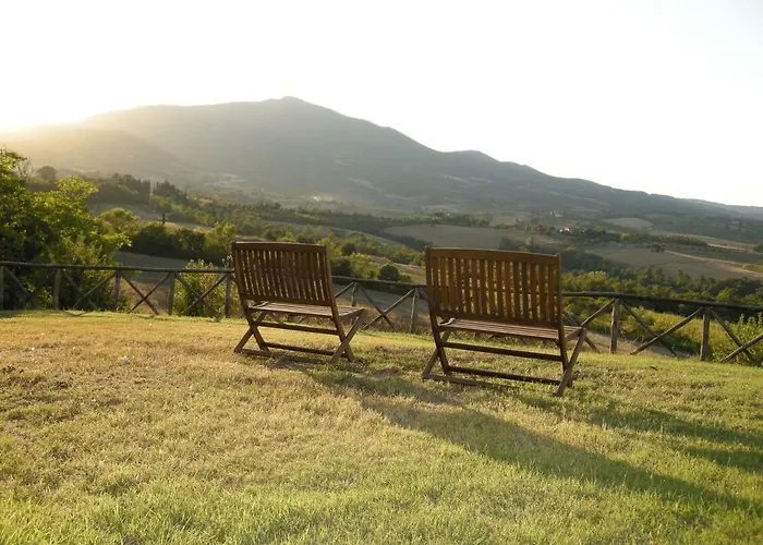 Il Pino Di Spazzavento