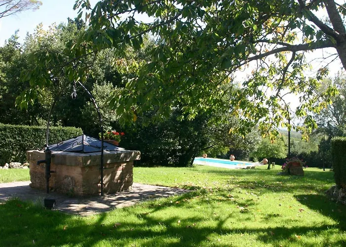 Il Pino Di Spazzavento