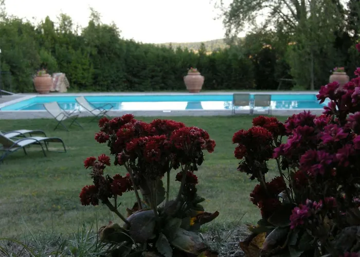 Il Pino Di Spazzavento