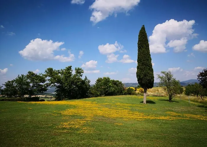 Il Pino Di Spazzavento Casa di campagna Cetona