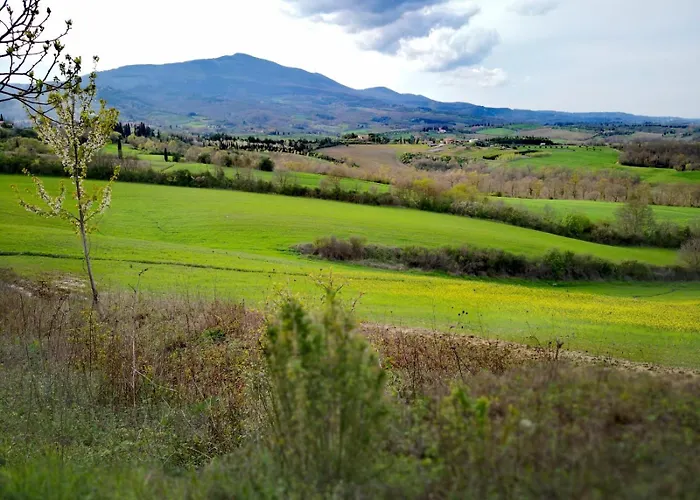 Il Pino Di Spazzavento Casa di campagna *