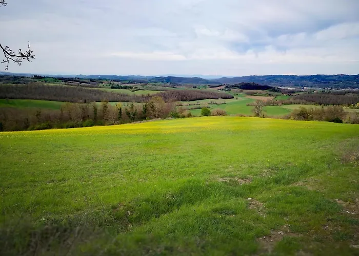 Il Pino Di Spazzavento