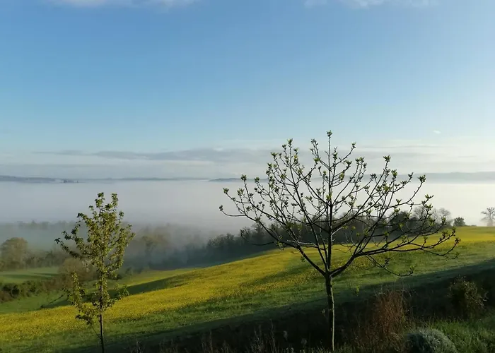 Casa di campagna Il Pino Di Spazzavento Cetona