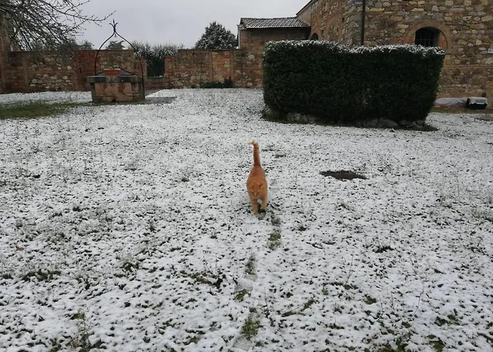 Casa di campagna Il Pino Di Spazzavento